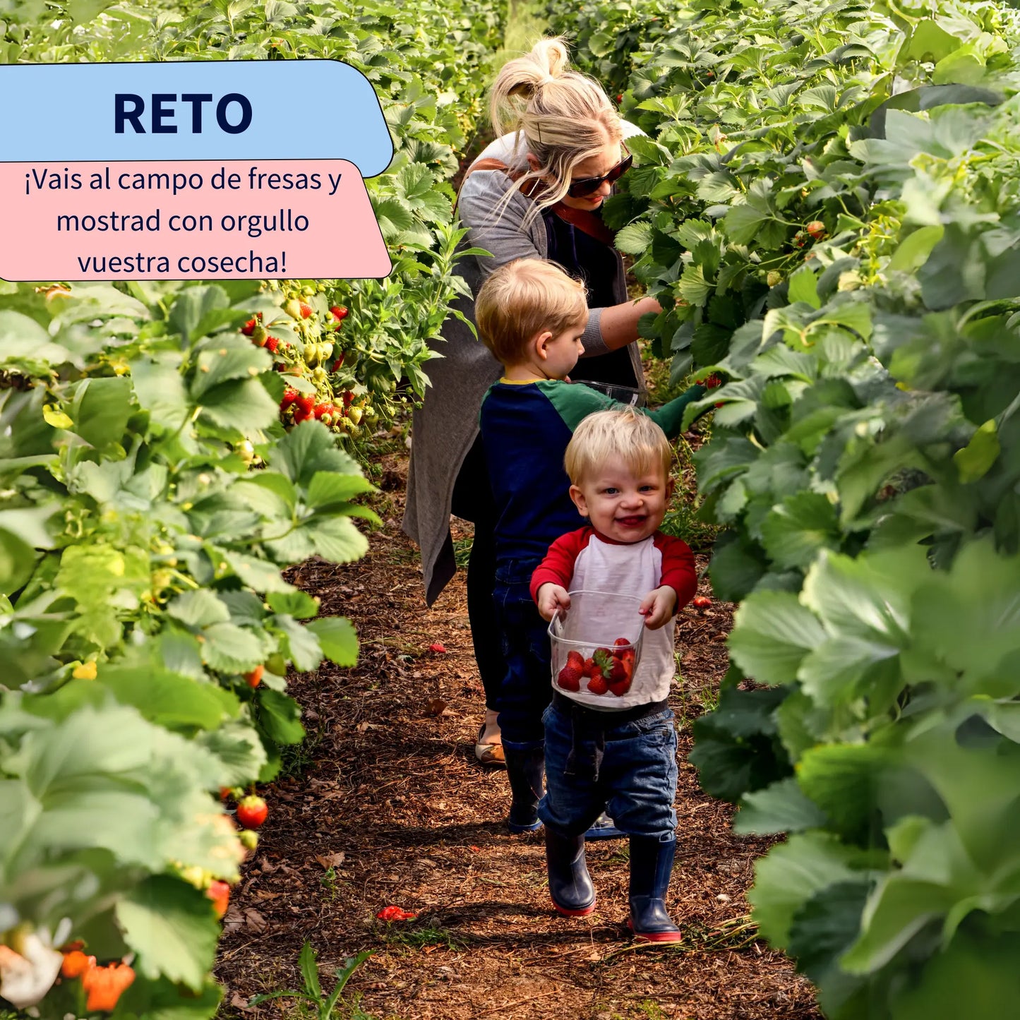 Álbum de Retos en Familia